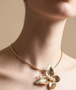 Nature’s Embrace: The Butterfly Bloom Series